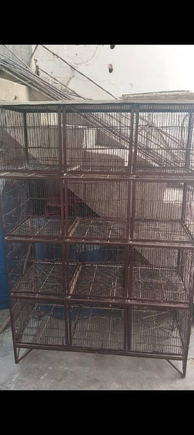 Strong iron Bird cage