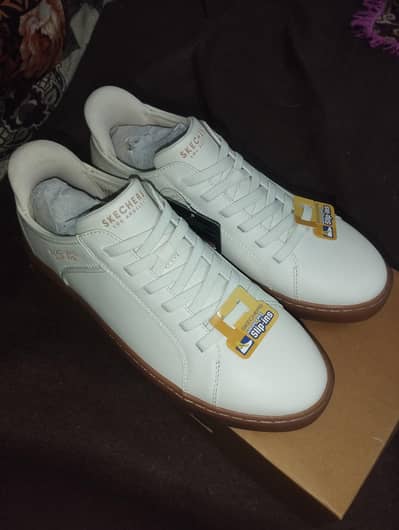 Sketchers brand new sneakers