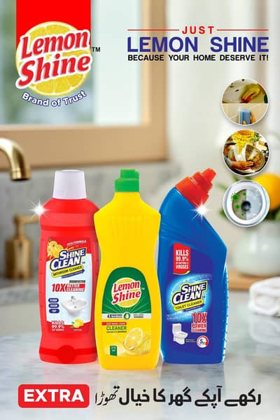 LEMON SHINE PVT. LTD