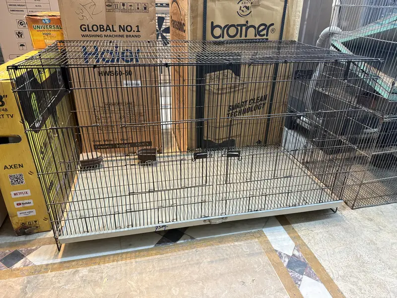 Cages up for sale !Contact on whatsapp only ! — photo 4