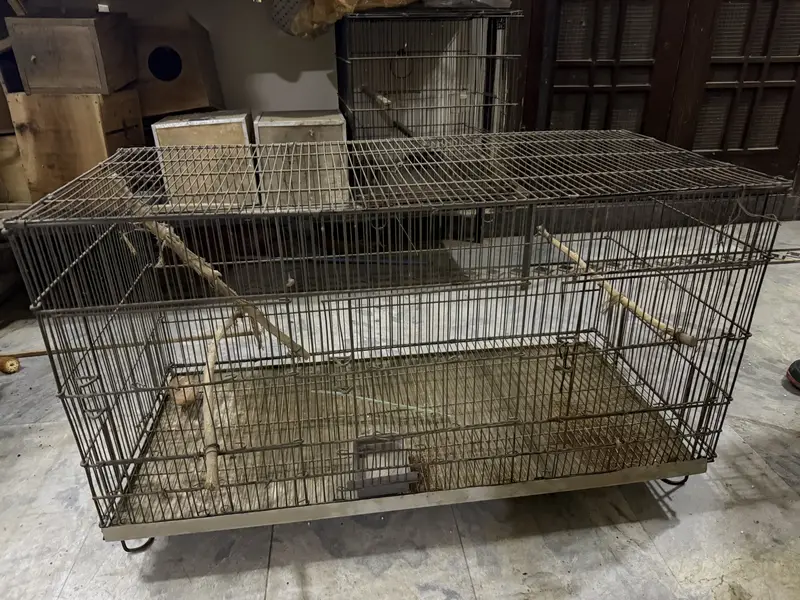 Cages up for sale !Contact on whatsapp only ! — photo 7