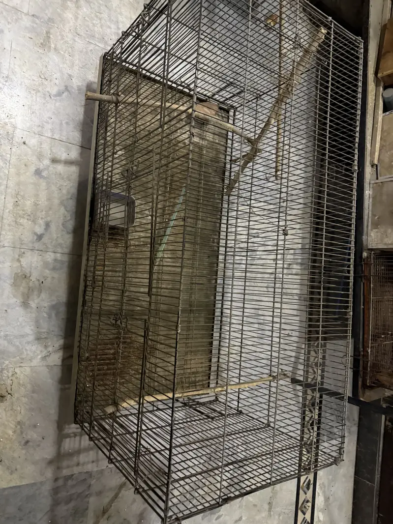 Cages up for sale !Contact on whatsapp only ! — photo 8