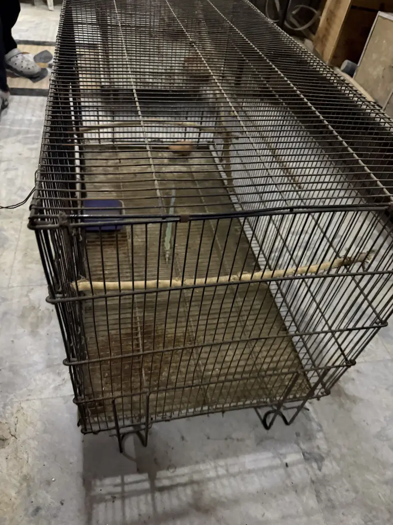Cages up for sale !Contact on whatsapp only ! — photo 9