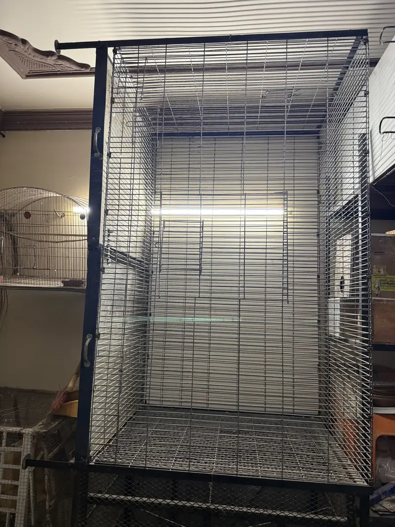 Cages up for sale !Contact on whatsapp only ! — photo 10