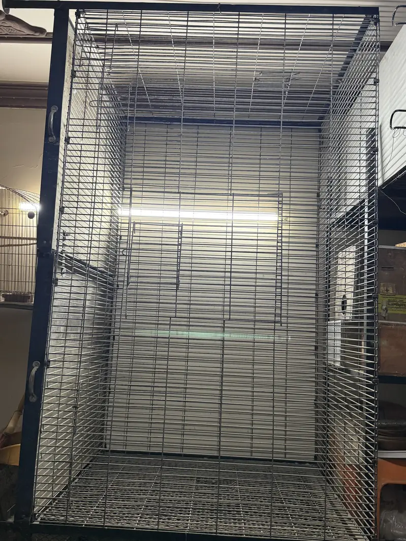 Cages up for sale !Contact on whatsapp only ! — photo 11
