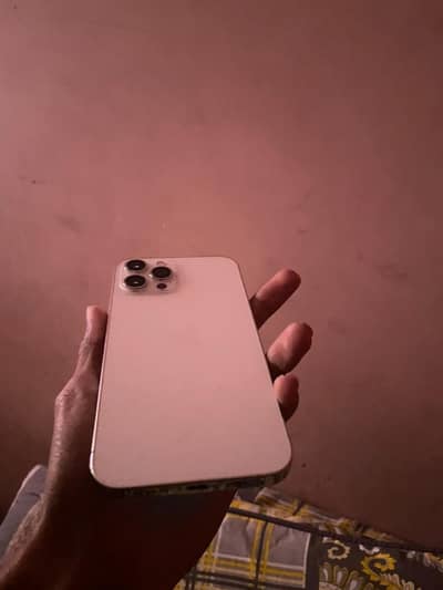 Iphone 12 Pro Max Dual Pta