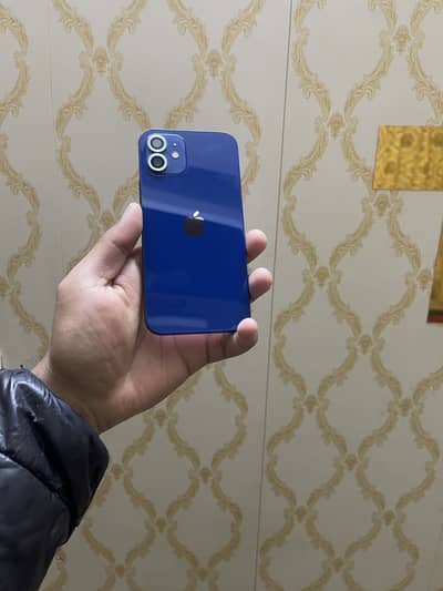 Iphone 12 jv 64gb water pack