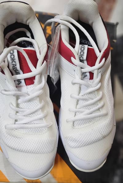 kookaburra-brand new cricket shoes