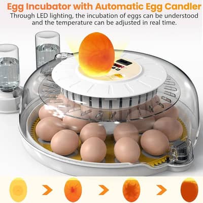 NEW YEAR OFFER 18/8 Eggs Automatic Incubator