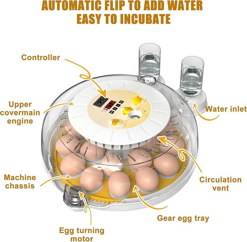 Automatic Egg Incubator | Egg Hatching Machine | Incubator | Brooder 2