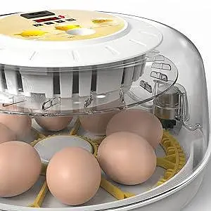 Eggs incubator | Hatching machine | automictic incubator | Brooder — photo 4