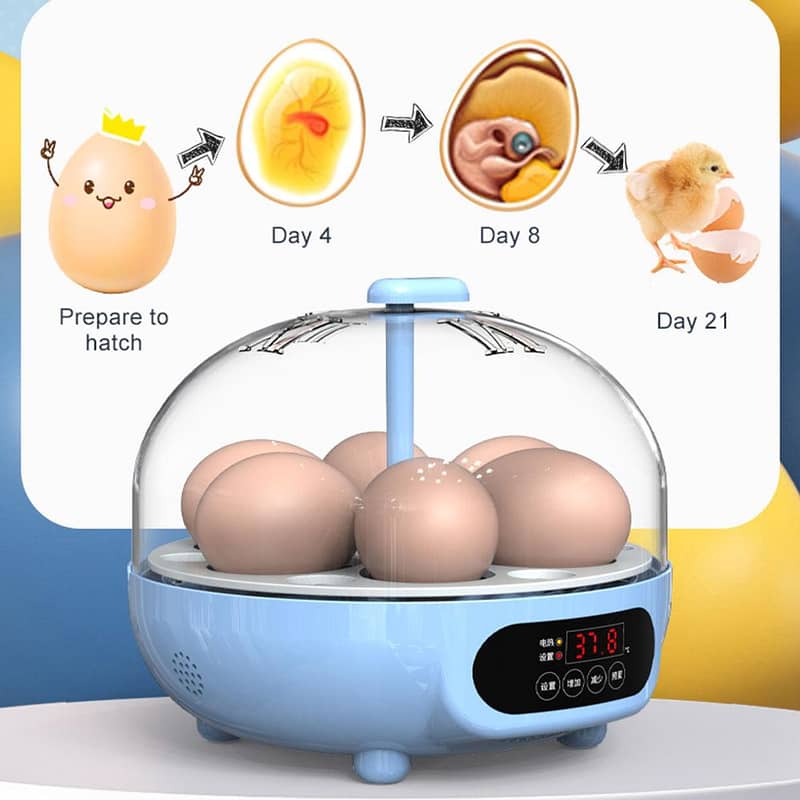 Automatic Egg Incubator | Egg Hatching Machine | Incubator | Brooder 3