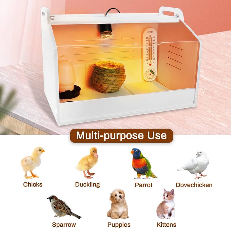 Imported Brooder For Parrots 1