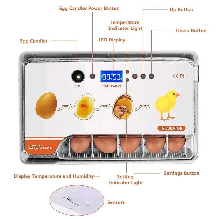 Automatic Egg Incubator | Egg Hatching Machine | Incubator | Brooder 5