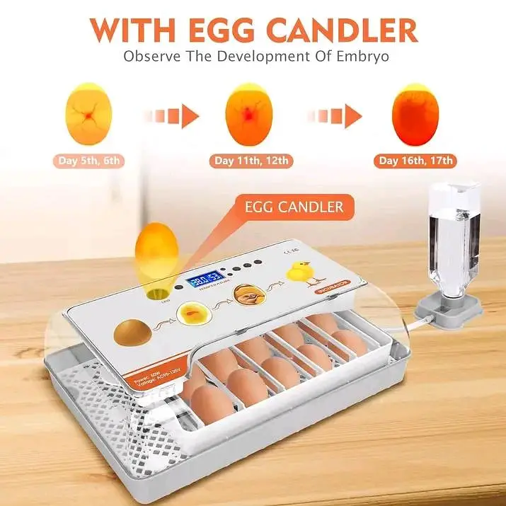 Eggs incubator | Hatching machine | automictic incubator | Brooder — photo 3