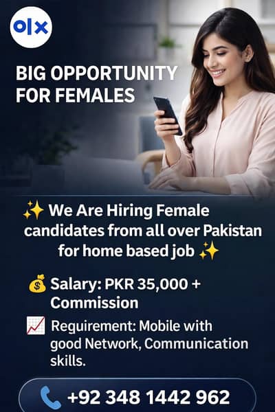 Best Home Based Job Opportunity for Ladies