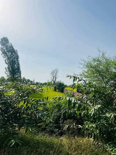 Change Your Address To Good Location Sheikhupura Road, Sheikhupura Road For A Reasonable Price Of Rs. 108000000