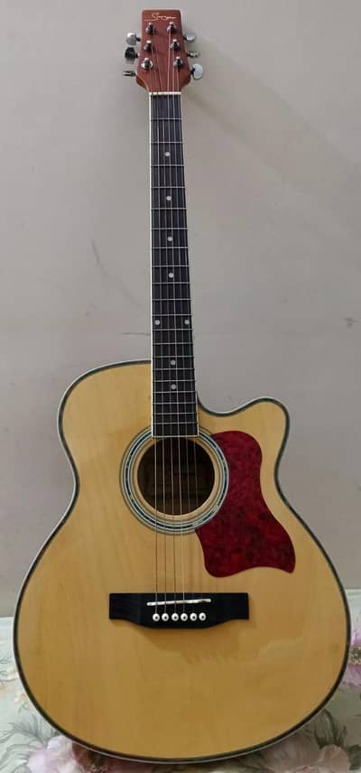 Acoustic Guitar (Stinger)