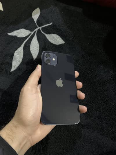Iphone 12