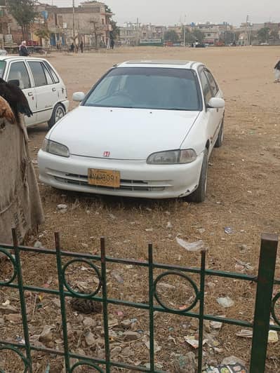 HONDA CIVIC DOLPHIN  SHAPE