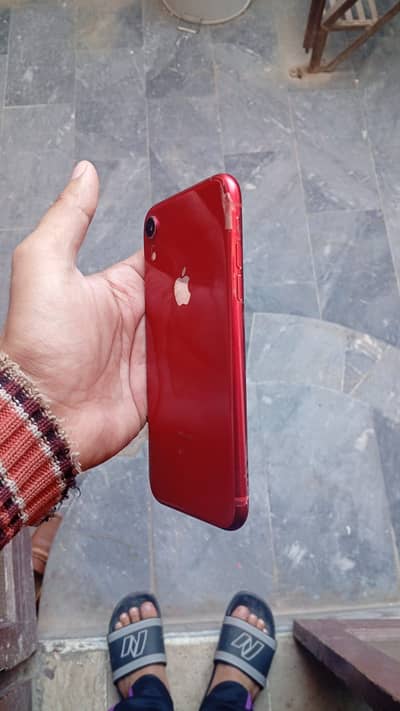 IPHONE  XR
