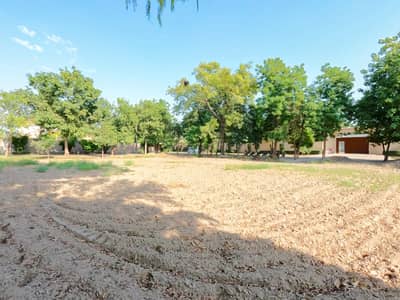 8 Kanal Residential Plot For Sale Available In Green Forts