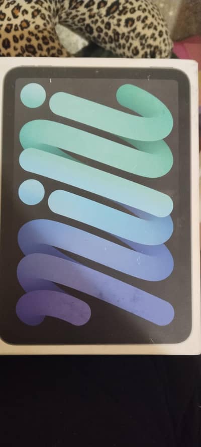 Ipad mini (A17 pro) wifi