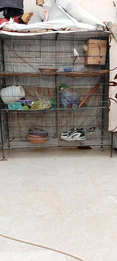 6 potions ka cage ha