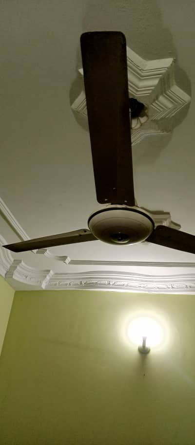 National Fan Full Size