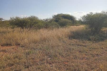 90 Kanal Prime Residential Plot for Sale Jati Umra