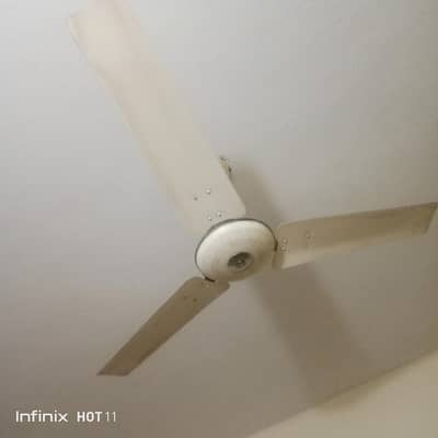 Royal fan for urgent sale