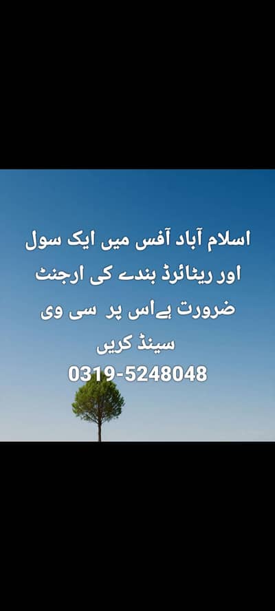 Whatsapp py rabta krein 03195248048 CV or documents bajayn