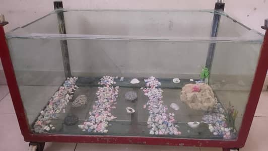 Fish Tank / Aquarium For Sale