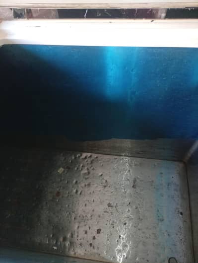 waves company freezer