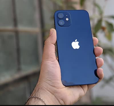Apple iPhone 12 PTA Approved
