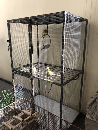 PARROT HENS CAGE FOR SALE
