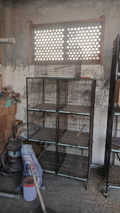 Birds Cages