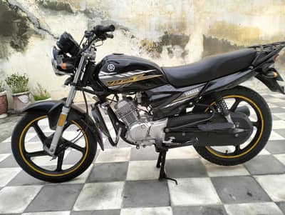 ybZ 2022 FreSh ConditioN