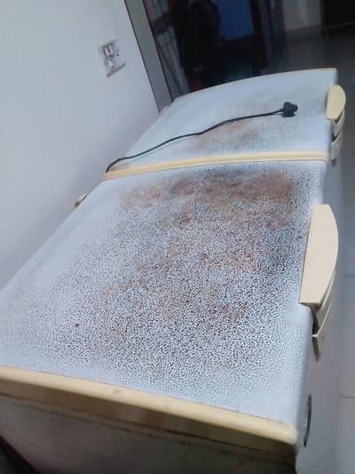 deep freezer for sale double door.