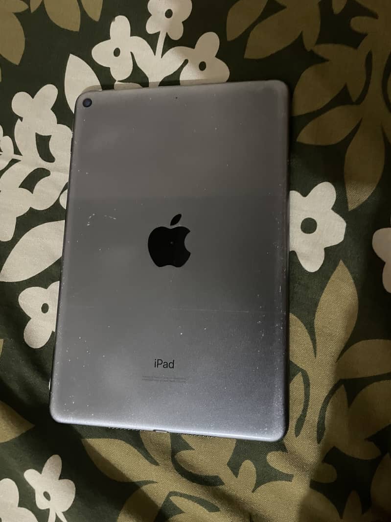 iPad mini 5 0