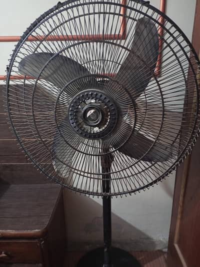Pedestal fan for sale