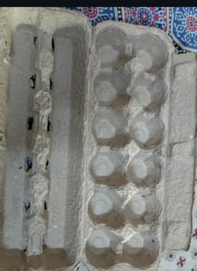eggs packaging