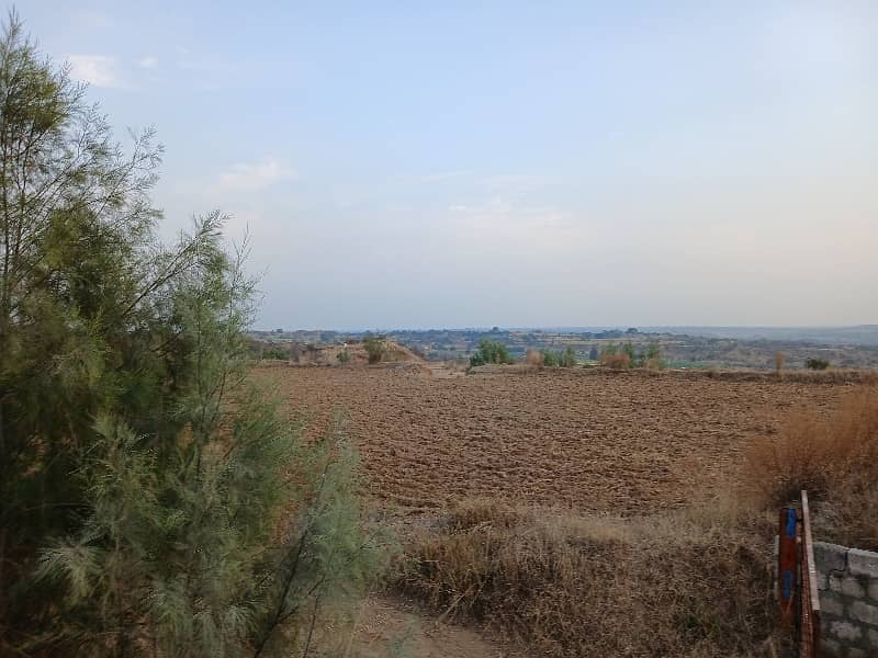 35 کنال رقبہ برائے فروخت نیلہ دولہا 3