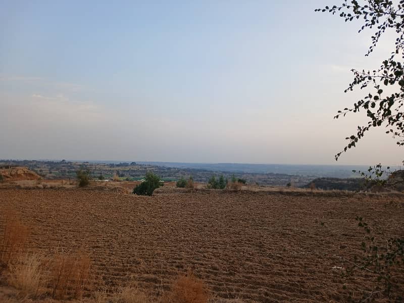 35 کنال رقبہ برائے فروخت نیلہ دولہا 5