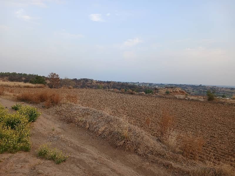 35 کنال رقبہ برائے فروخت نیلہ دولہا 6