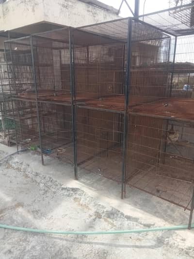 used iron cages