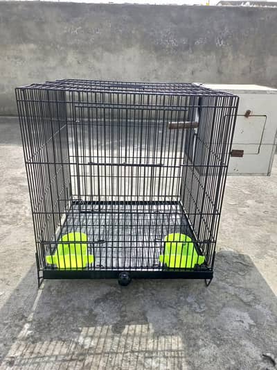 Birds Cage