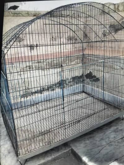 2 cages for birds 30by 30 size