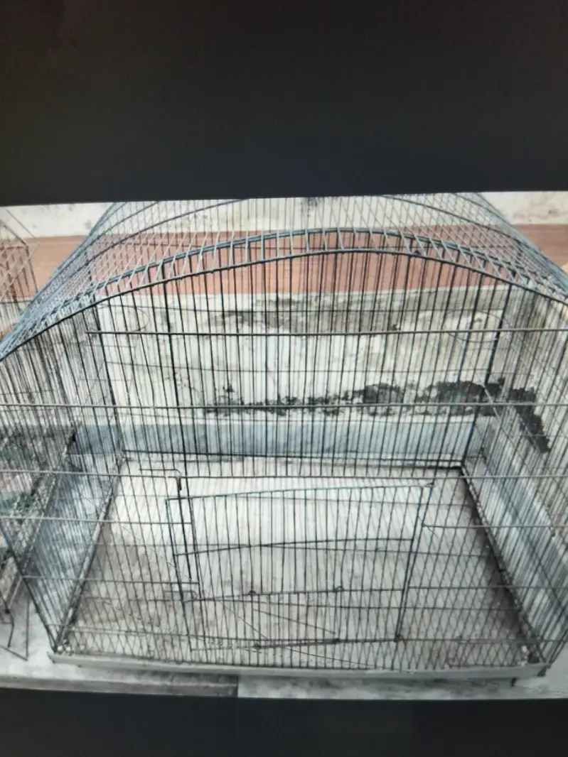 2 cages for birds 30by 30 size — photo 4