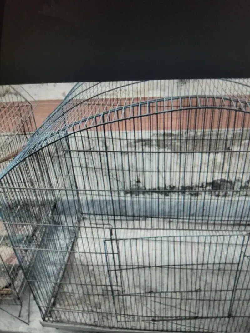 2 cages for birds 30by 30 size — photo 5